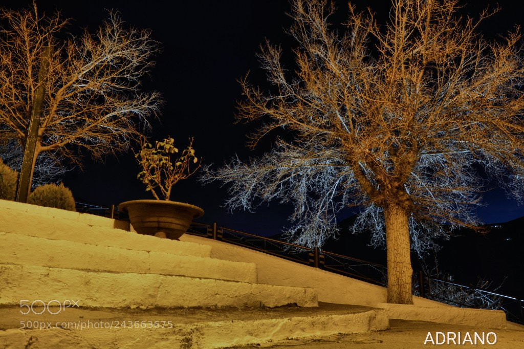 Nikon D7100 sample photo. Guardianes photography