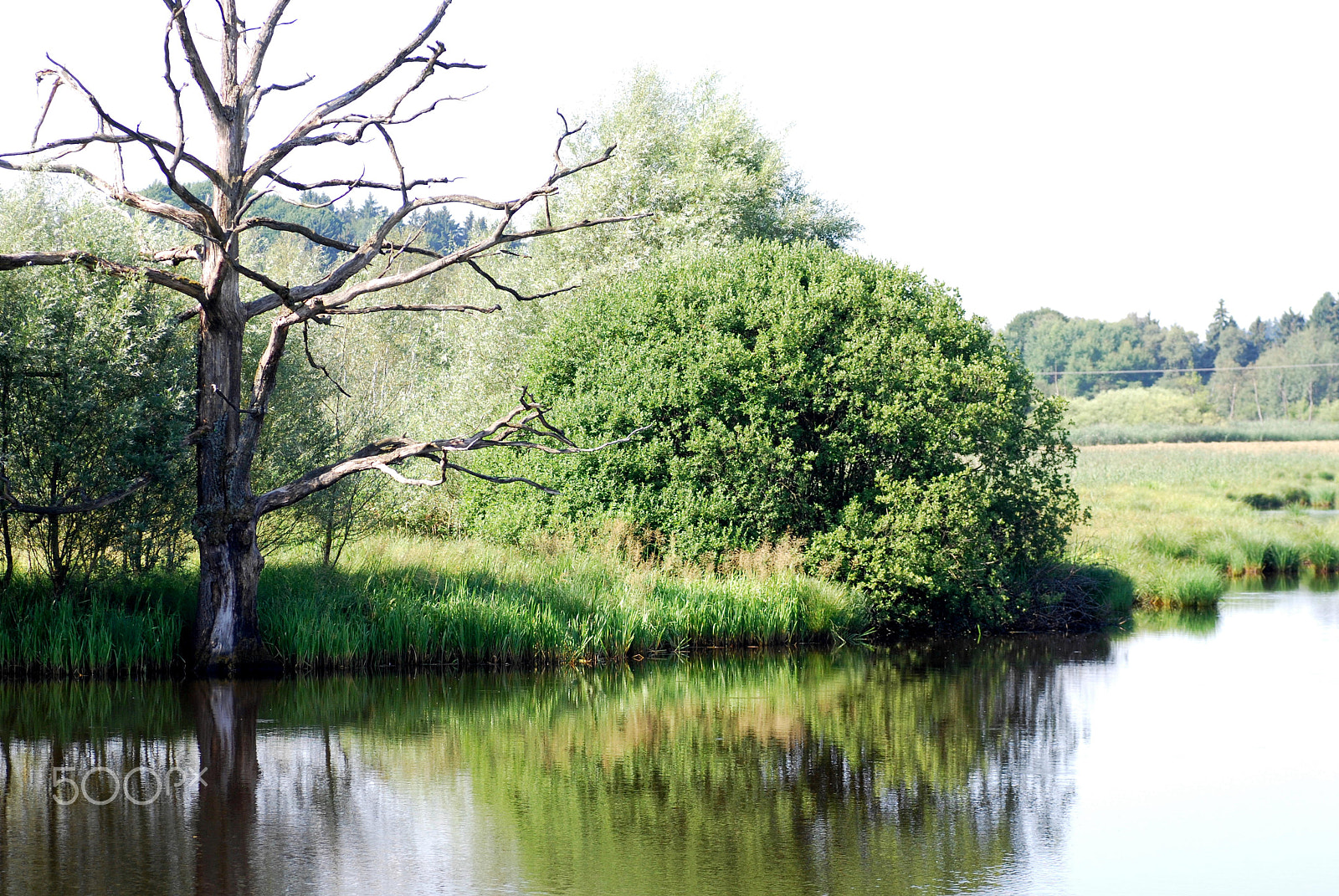 Nikon D40X sample photo. Reflection photography