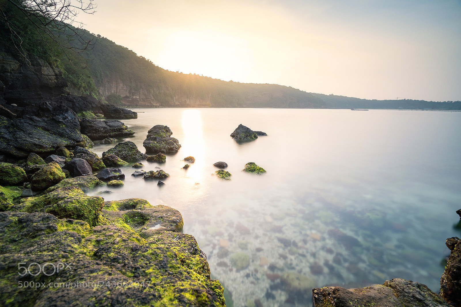 Sony a7R II sample photo. Greenstonesea photography