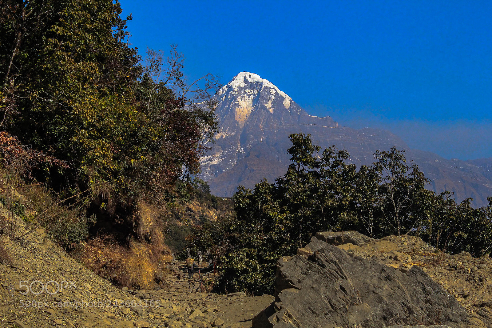 Canon EOS 60D sample photo. Road to ghandruk photography