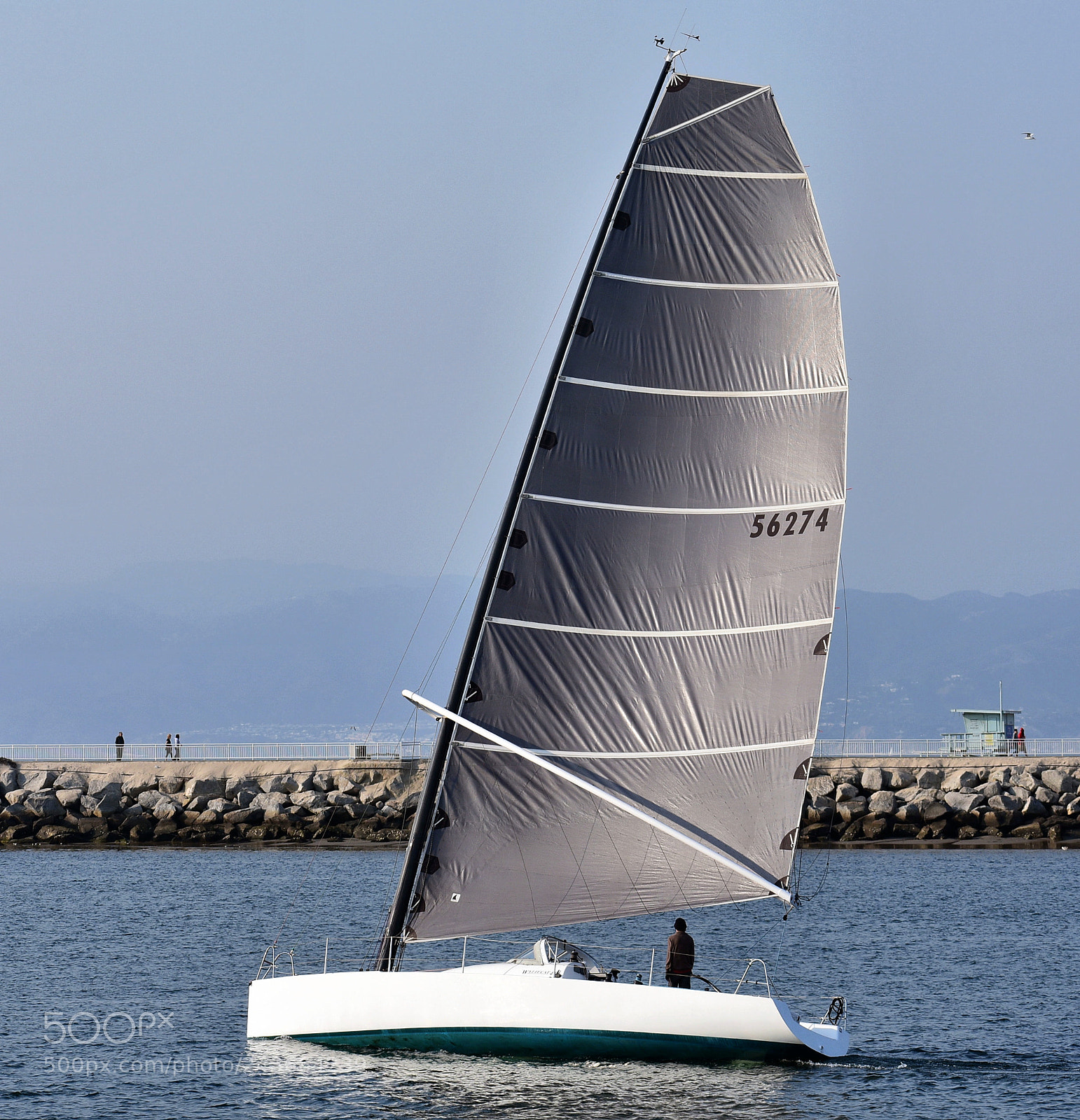 Nikon D7200 sample photo. Sailboat cruising marina channels photography
