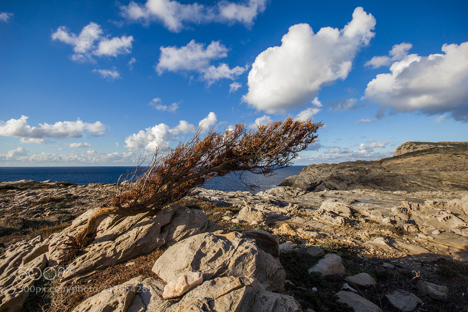 Canon EOS 550D (EOS Rebel T2i / EOS Kiss X4) sample photo. Where the wind blows photography