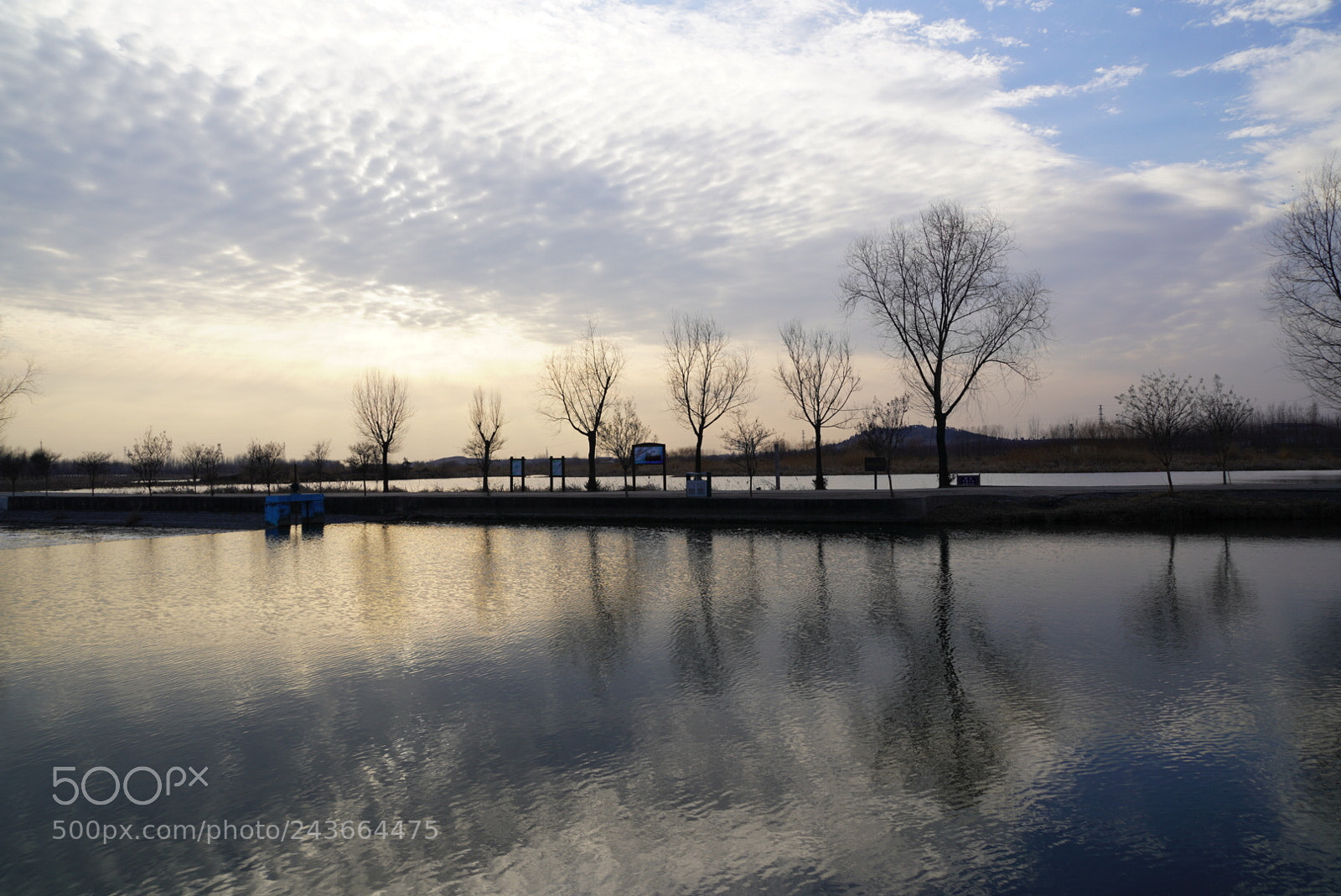 Sony a7R III sample photo. 湿地 photography