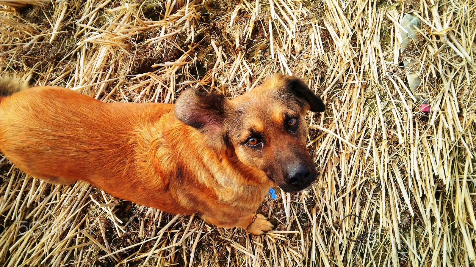 BlackBerry Z10 sample photo. What? photography