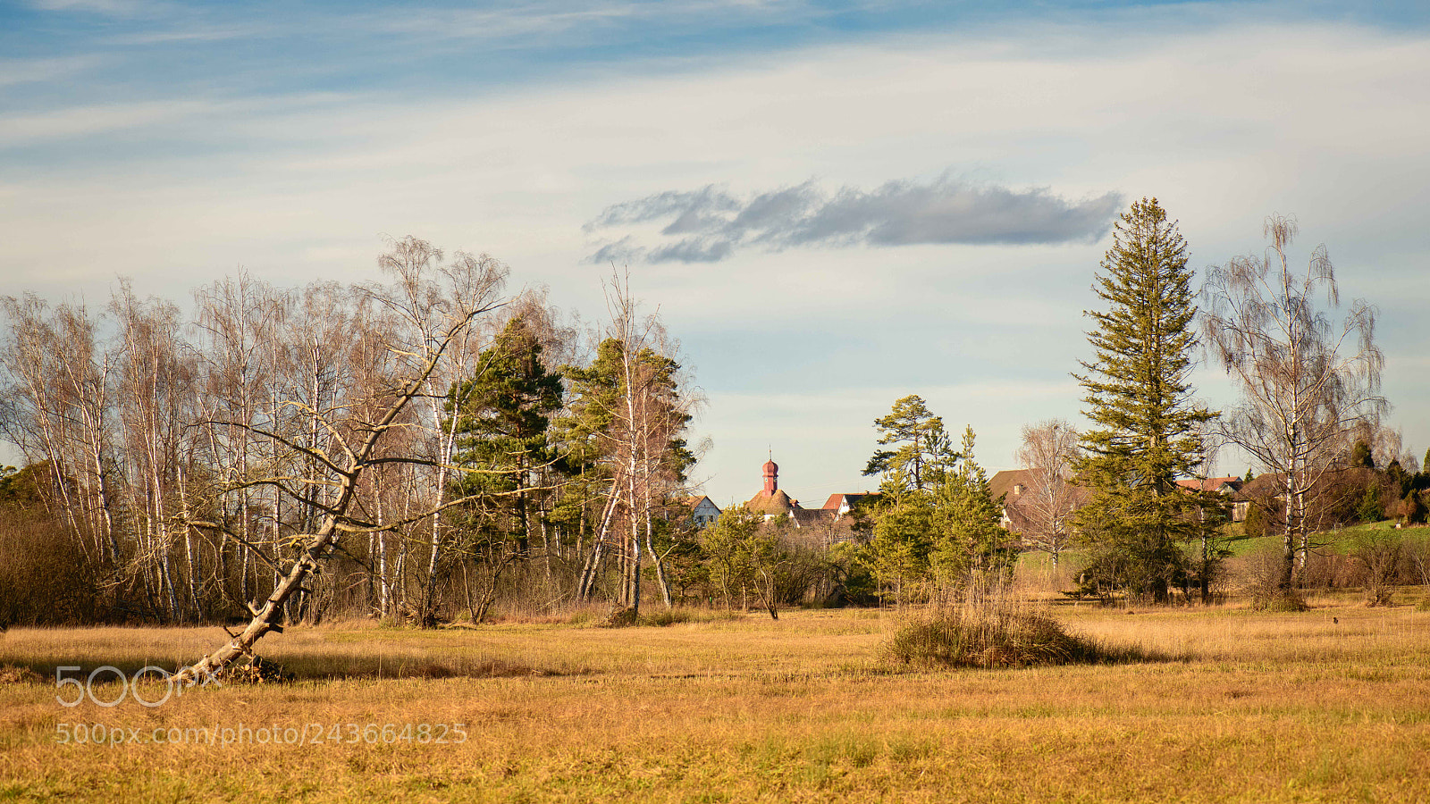 Nikon D850 sample photo. Near the greifensee lake photography
