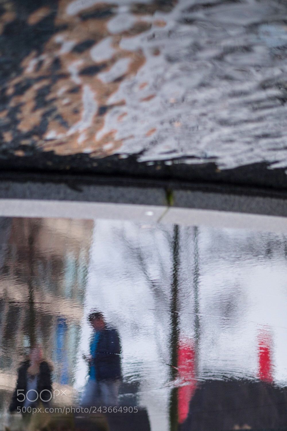 Fujifilm X-Pro2 sample photo. It's a wet and photography