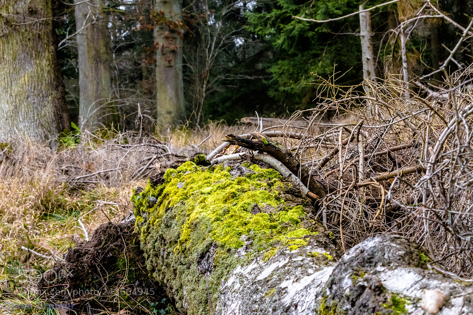 Canon EOS 7D Mark II sample photo. Around us photography