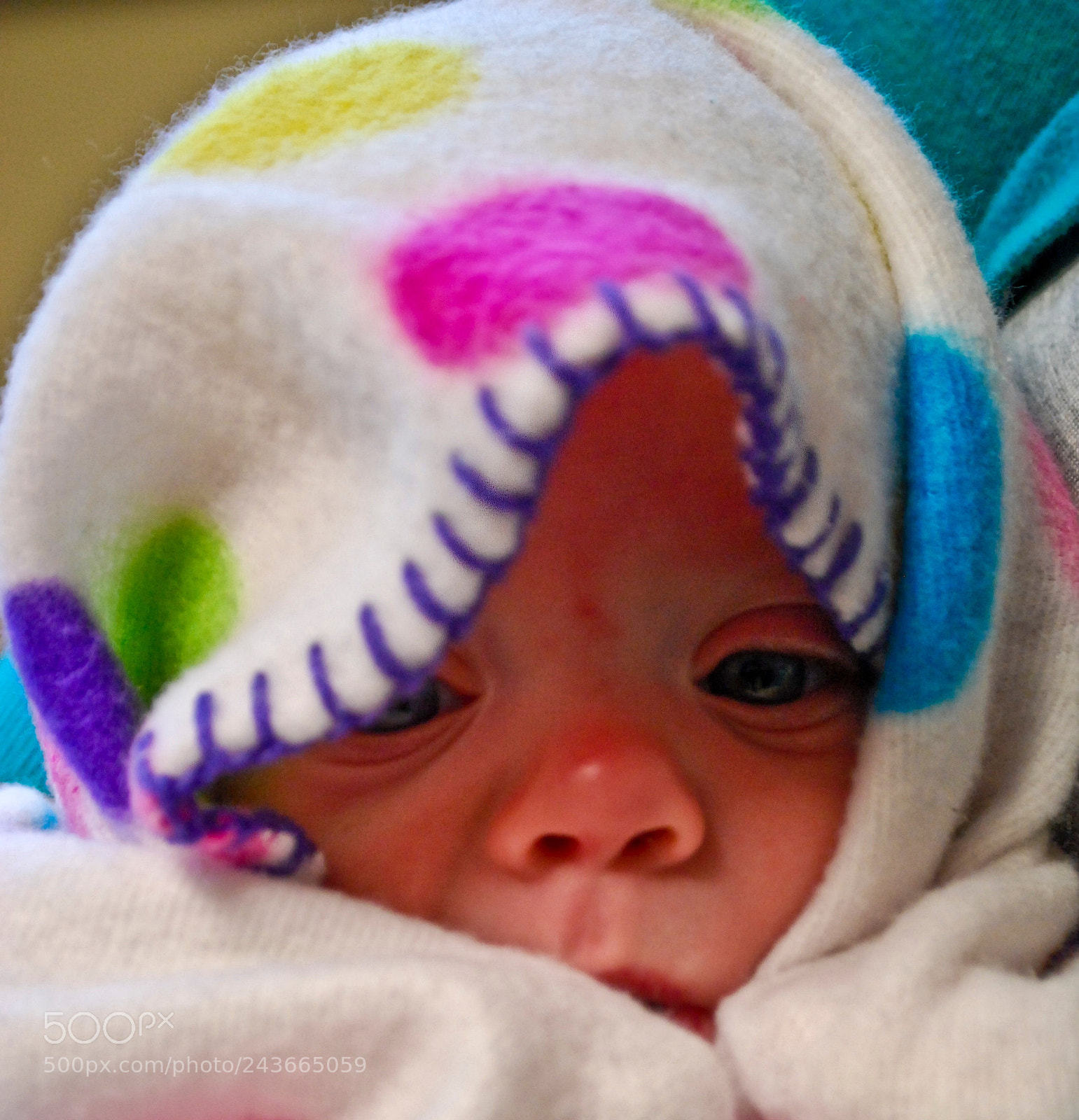 Nikon D60 sample photo. Swaddled premie annabelle, 2012 photography