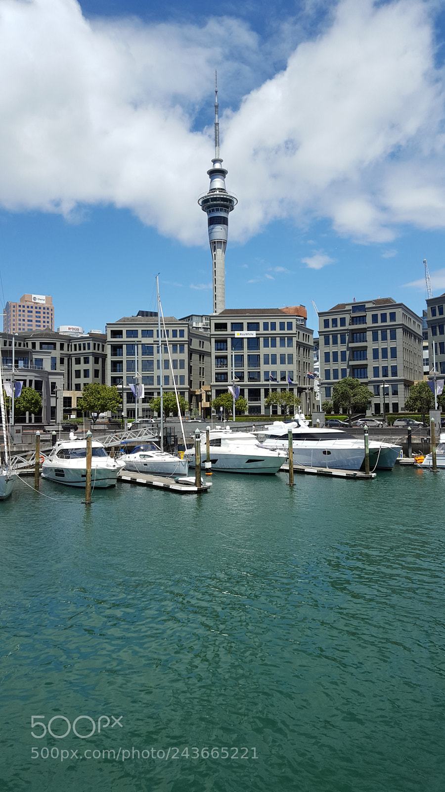 Samsung Galaxy S6 sample photo. Auckland waterfront. photography