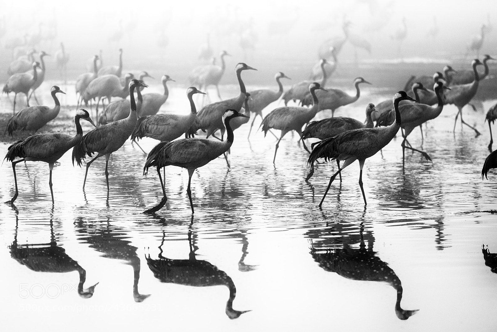 Nikon D700 sample photo. Rush hour photography