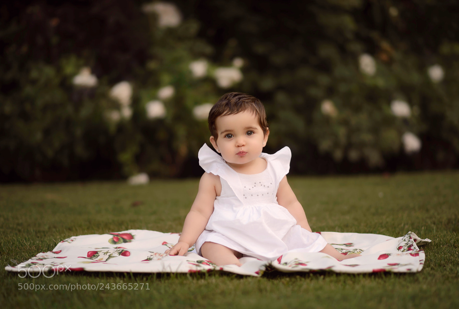Nikon D610 sample photo. Untitled photography