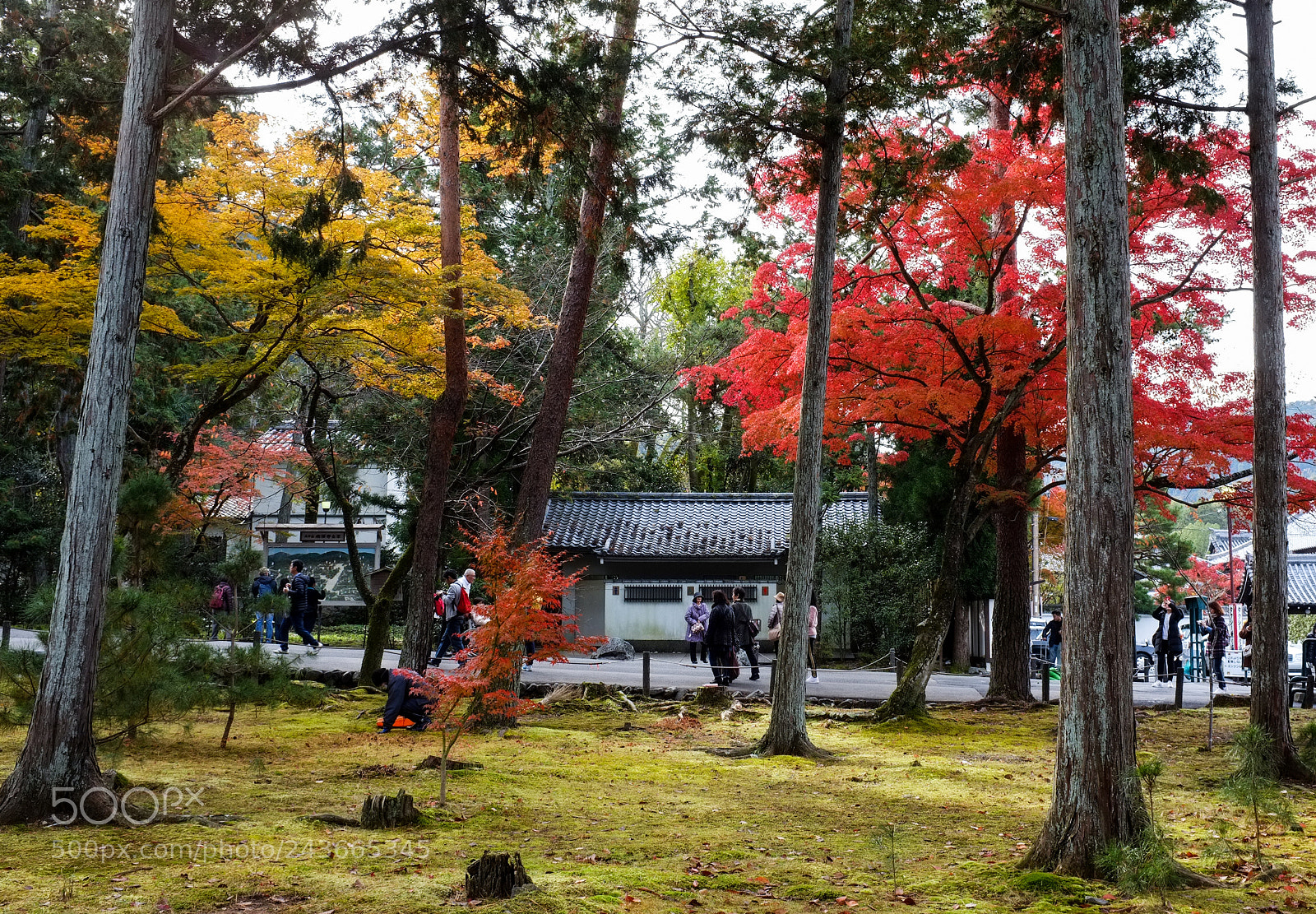 Fujifilm FinePix X100 sample photo. Theme photography
