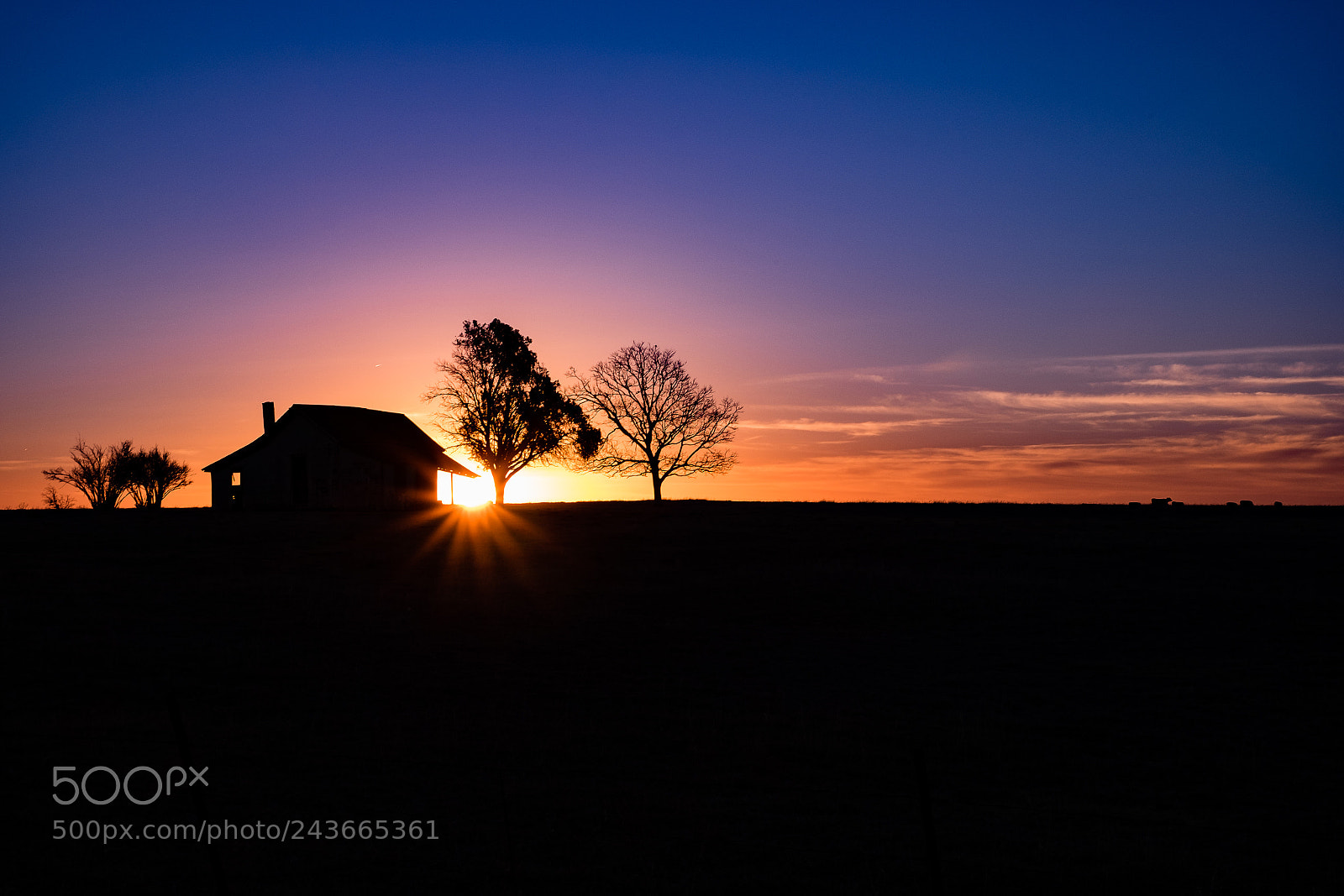 Fujifilm X-T1 sample photo. Monday sunrise photography