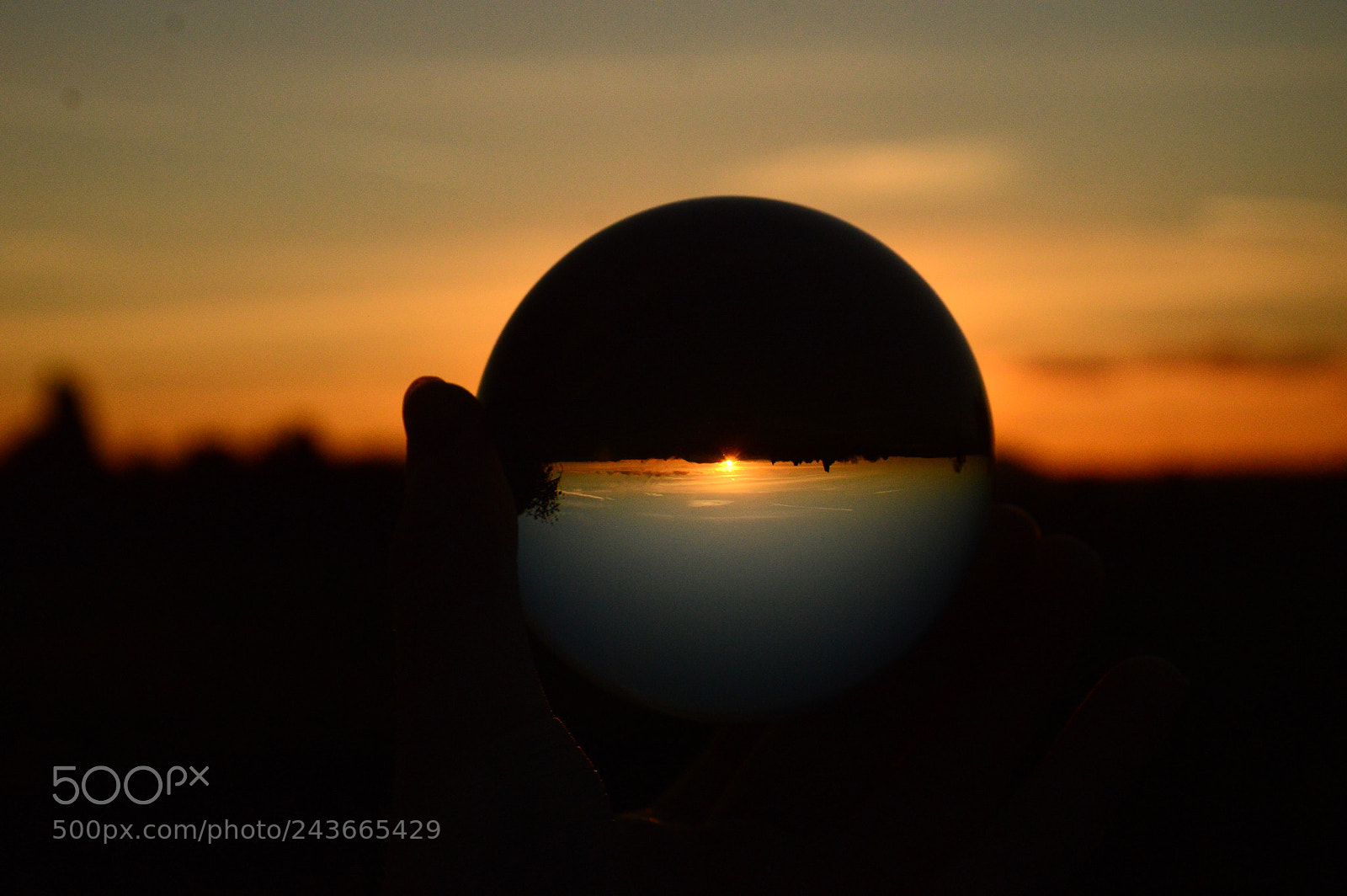 Nikon D3200 sample photo. Through the looking glass photography