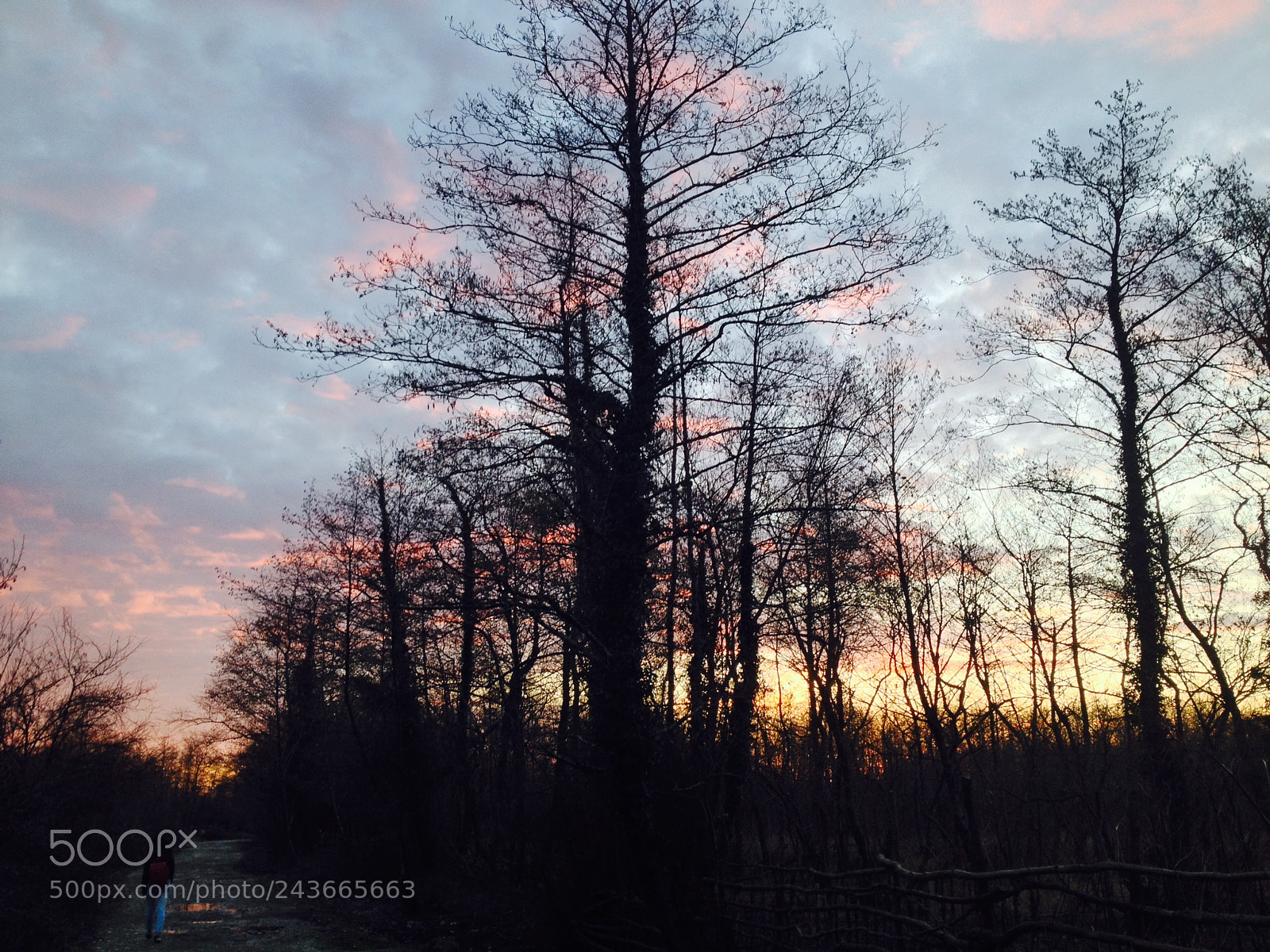 Apple iPhone 4S sample photo. In the morning photography
