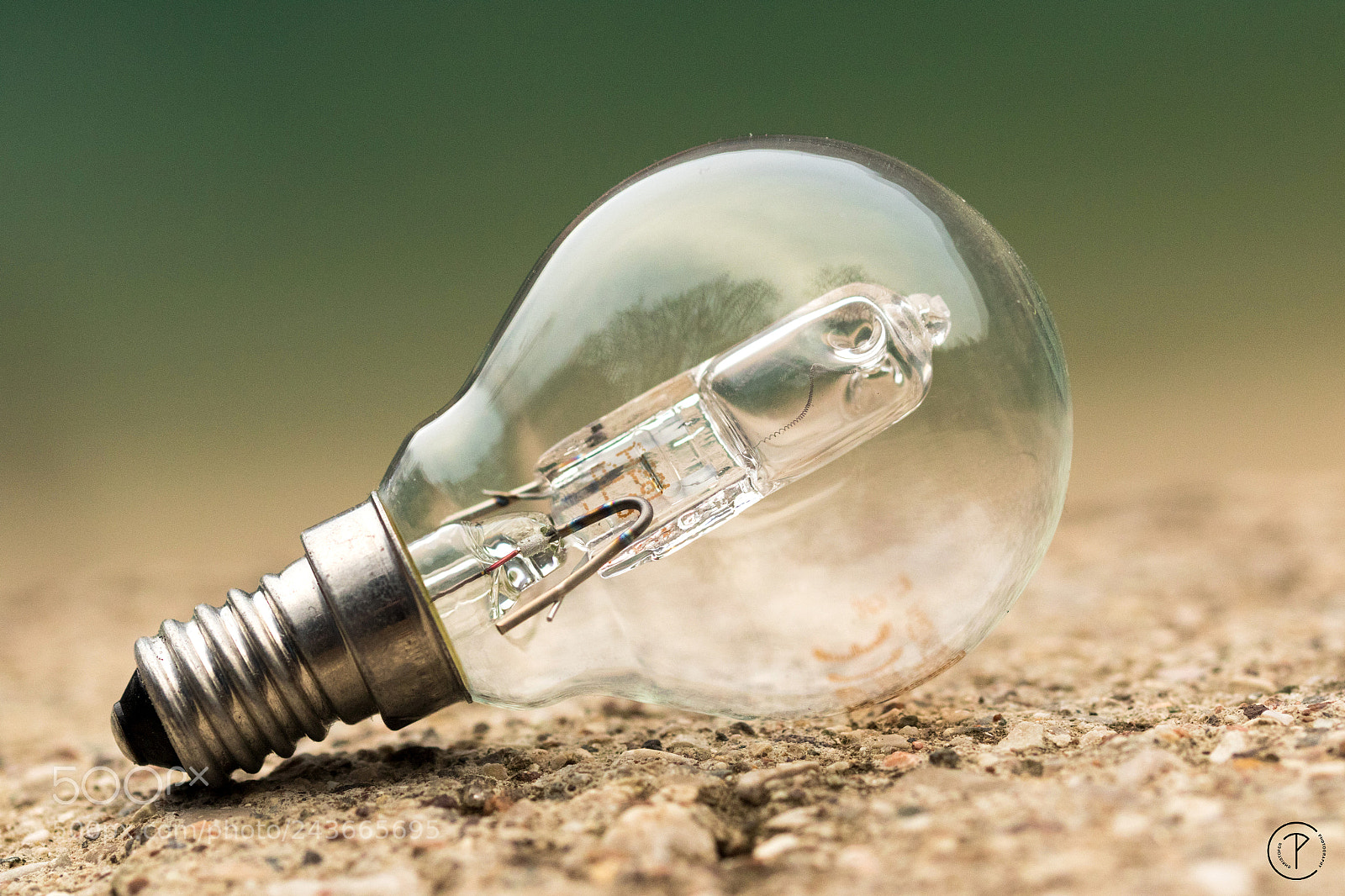 Canon EOS 7D Mark II sample photo. Light bulb photography