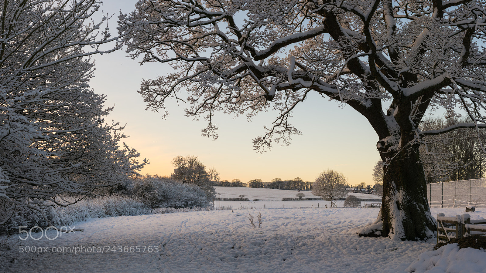 Nikon D7200 sample photo. Fields of snow photography