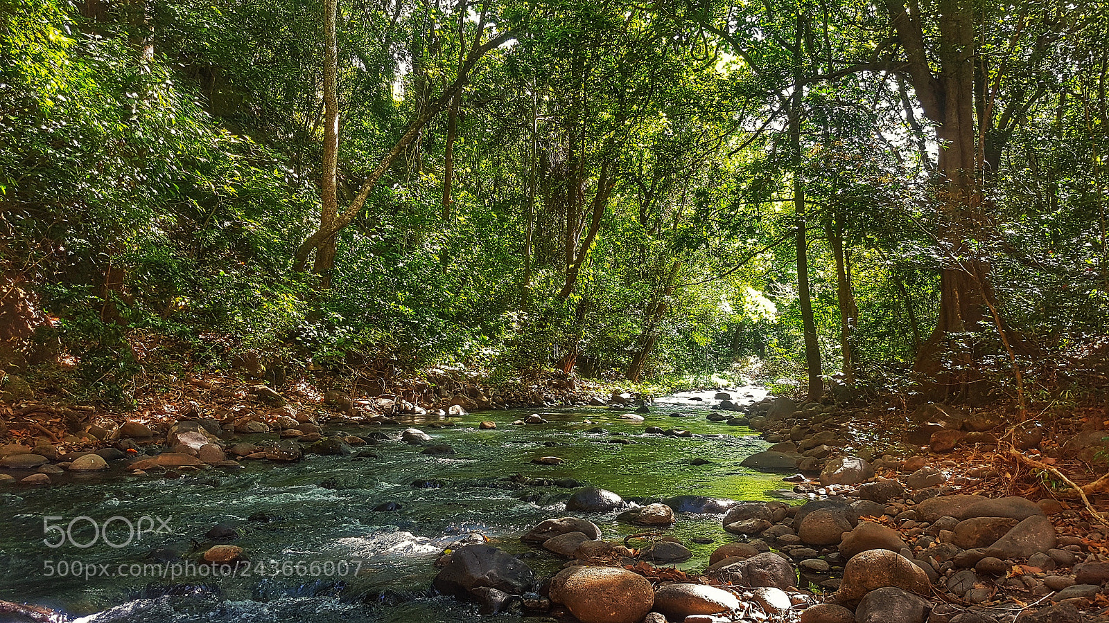 Samsung Galaxy S7 Edge sample photo. Rio cabuyo photography