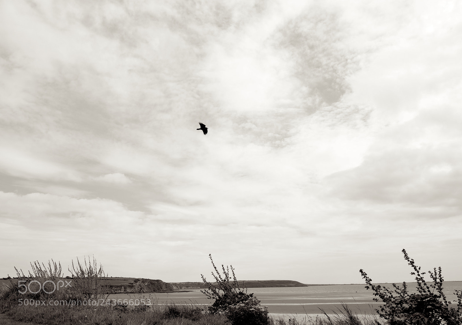 Fujifilm X-T20 sample photo. Offshore photography
