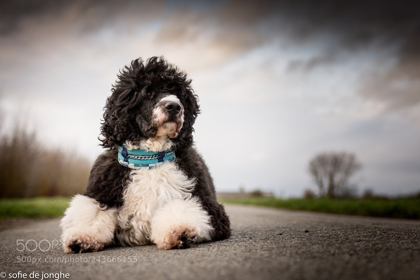 Nikon D7200 sample photo. Stormy day photography