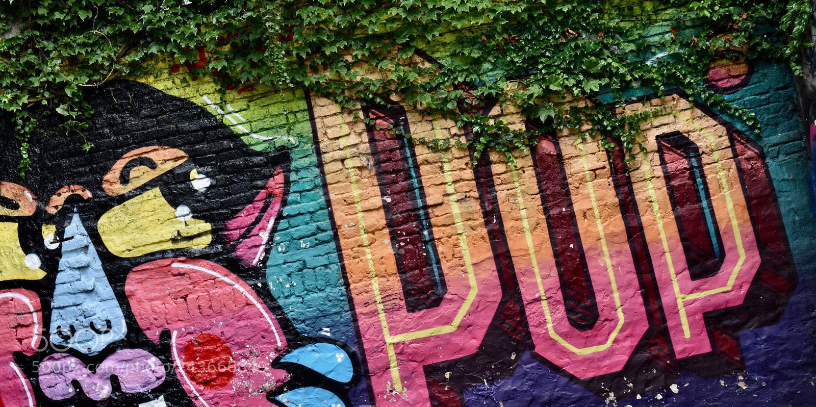 Nikon D5600 sample photo. Pop! photography