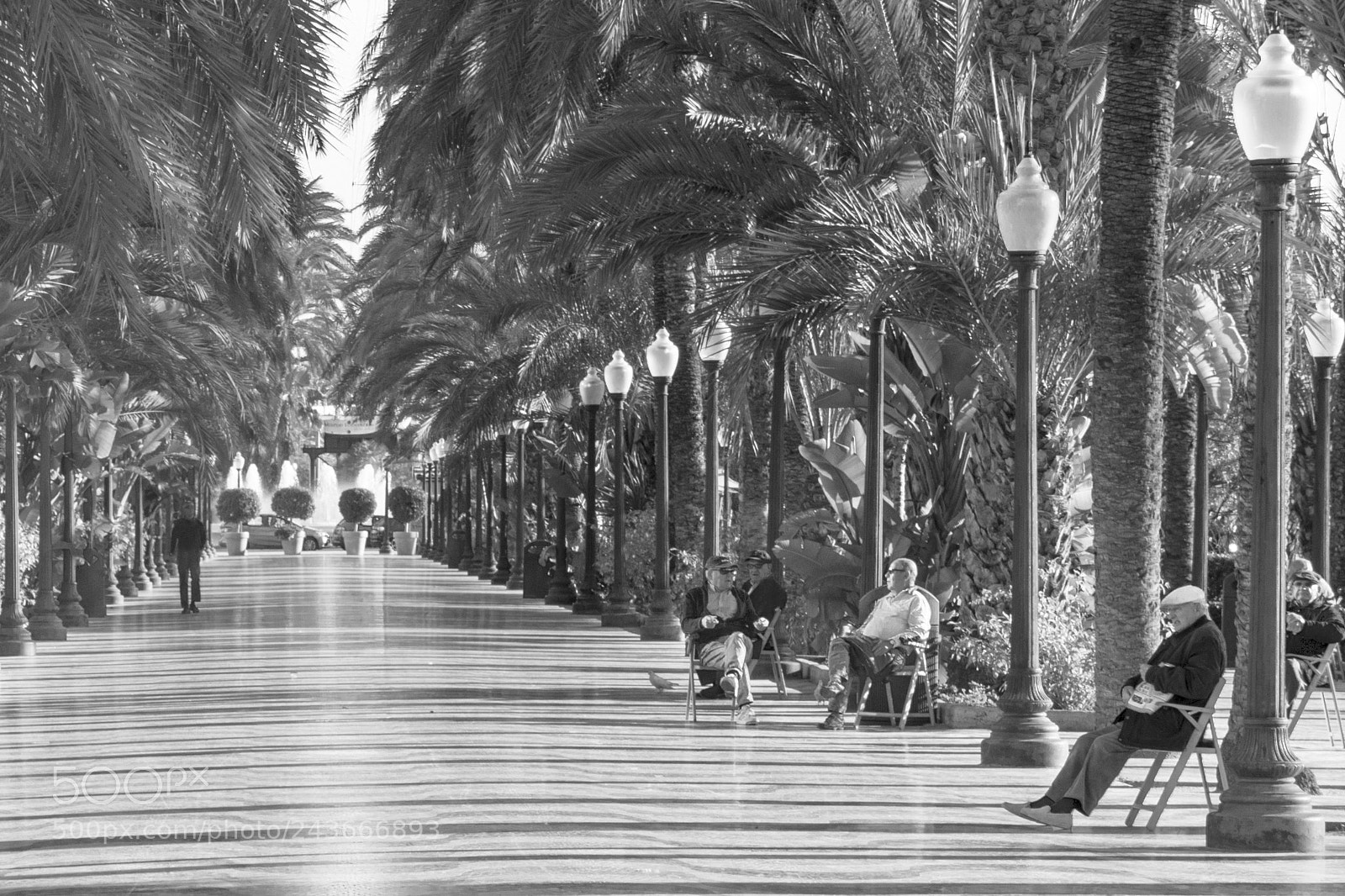 Nikon D7200 sample photo. Esplanada alicante photography