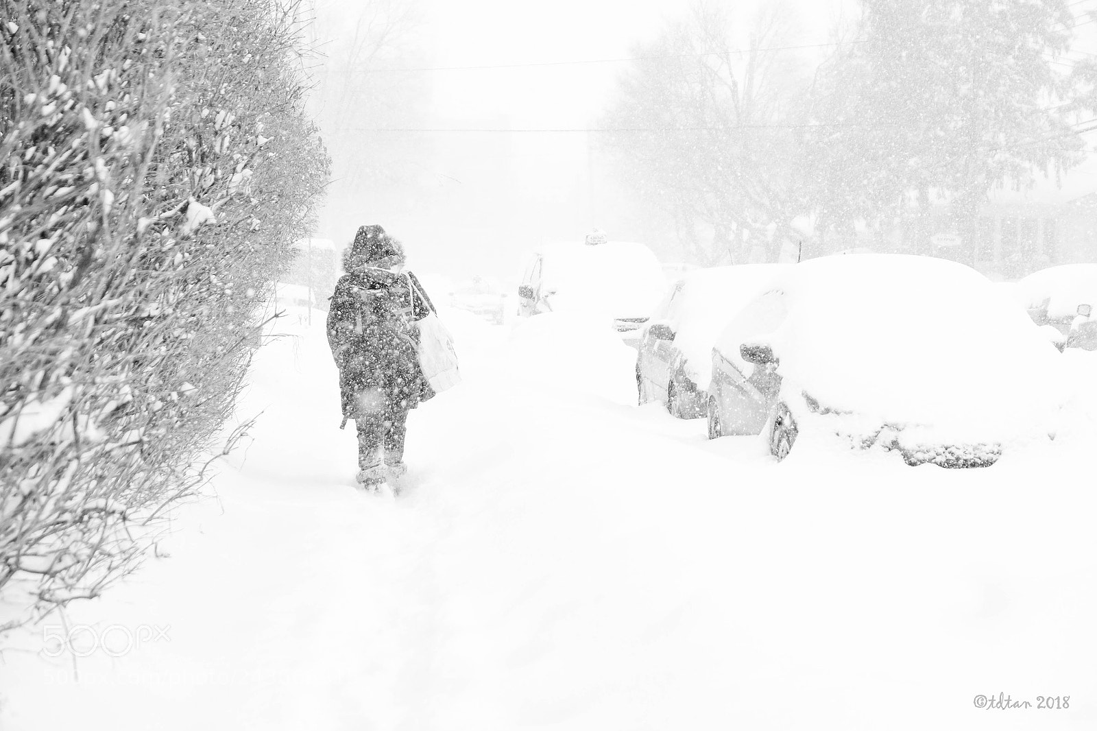 Fujifilm X-T1 sample photo. Winter - snow storm photography