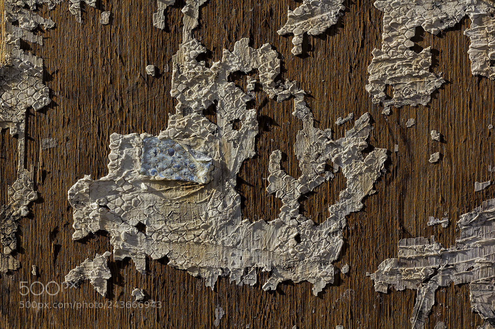 Canon EOS 60D sample photo. Map of the world photography
