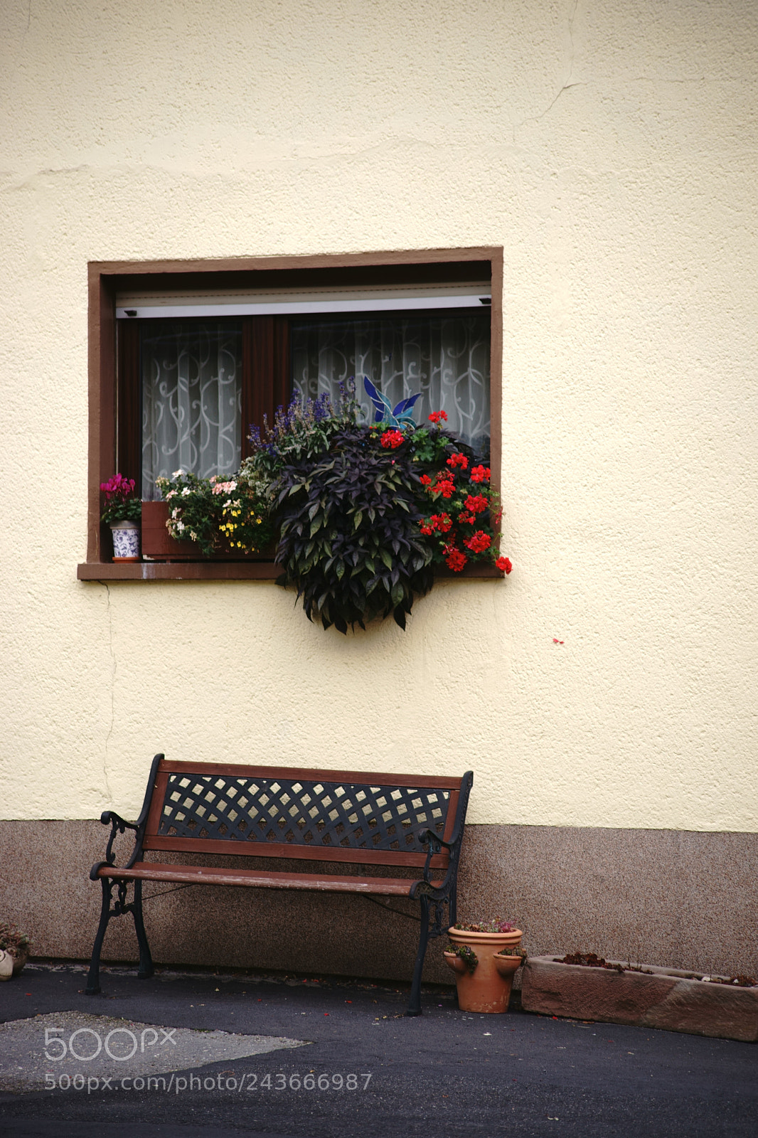 Sony a7 II sample photo. Window with floral decor photography