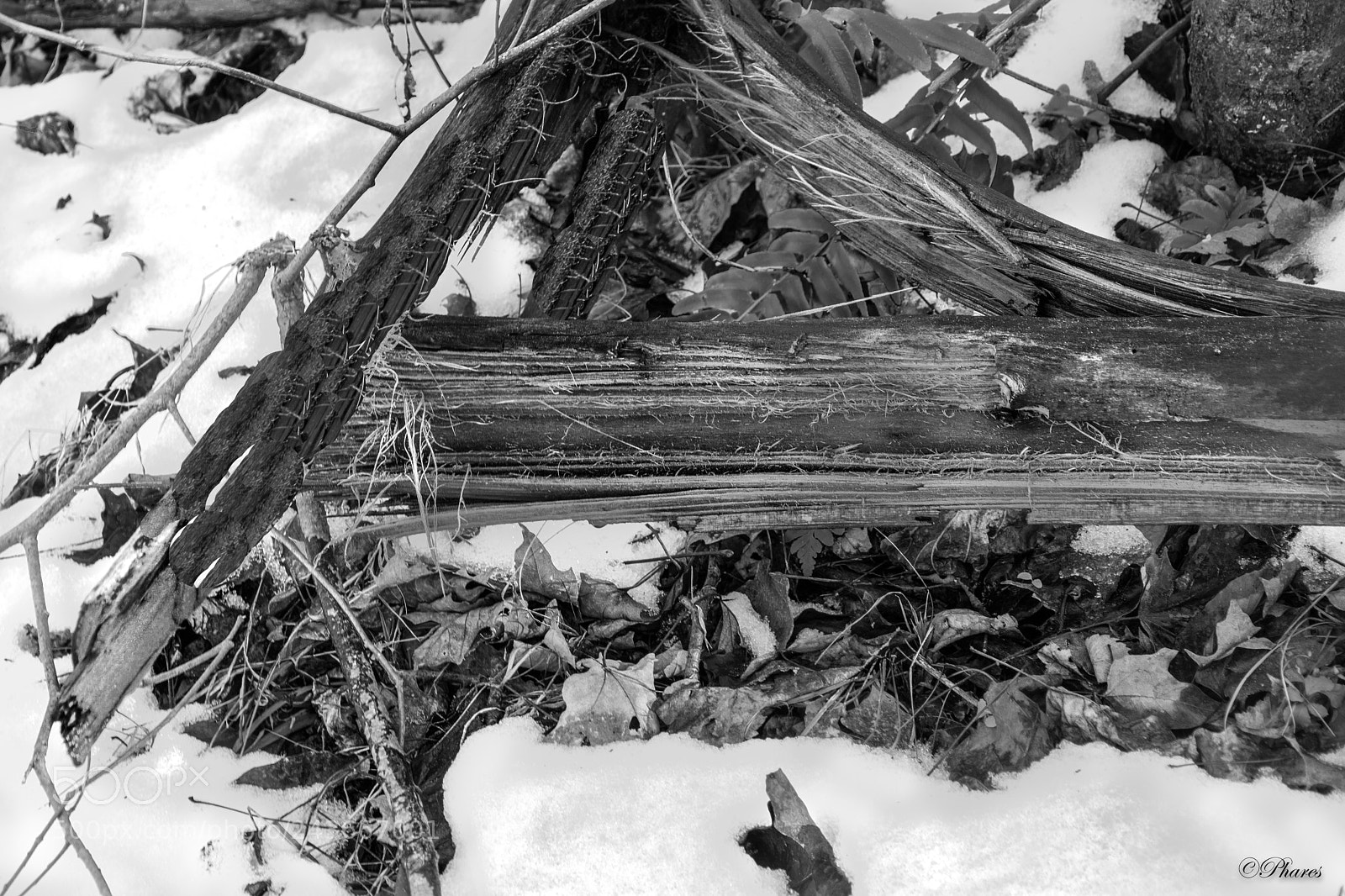 Nikon D7100 sample photo. Splintered photography