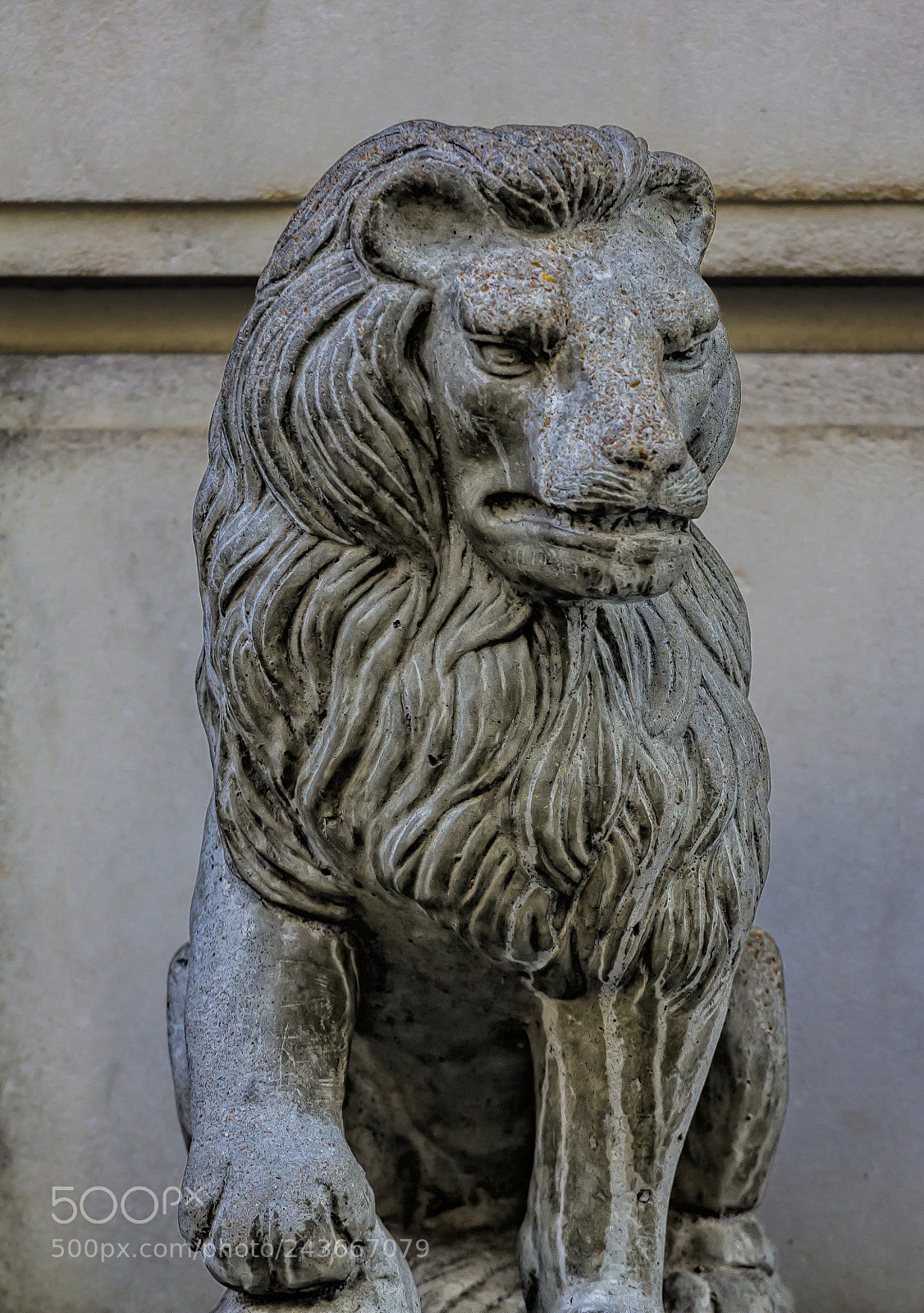 Canon EOS 60D sample photo. Weathered lion statue photography