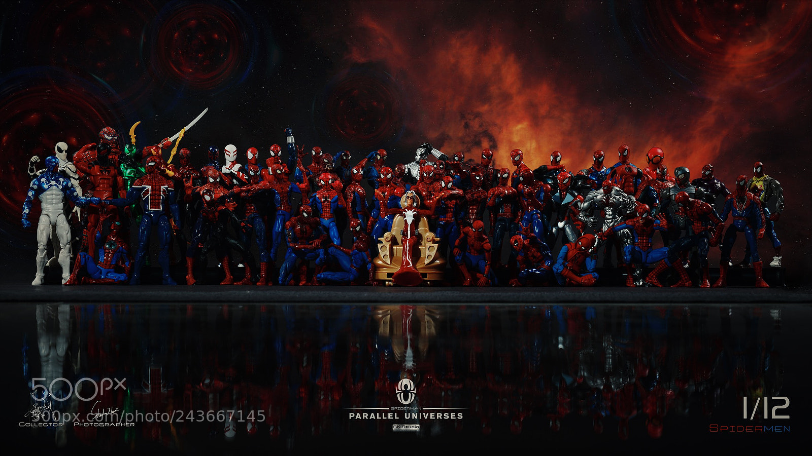 Nikon D800 sample photo. Spider-man. photography