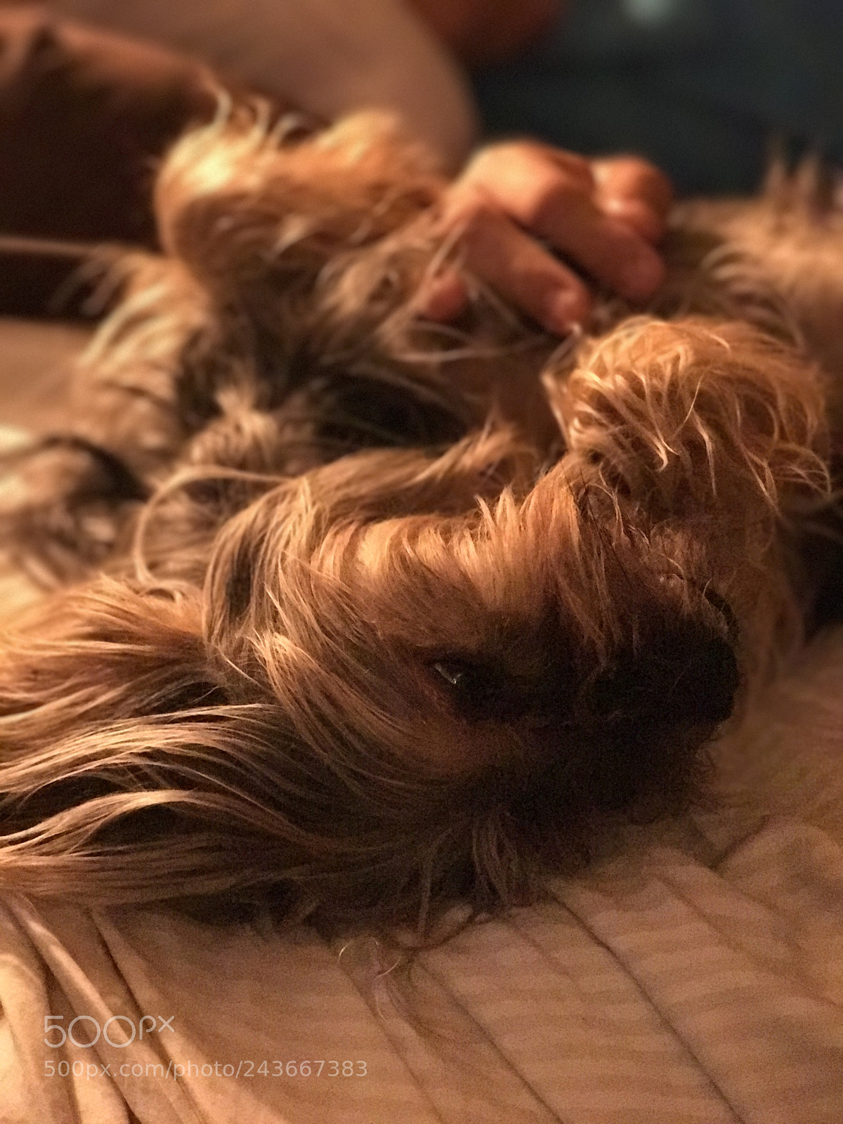 Apple iPhone 7 Plus sample photo. The best way to photography