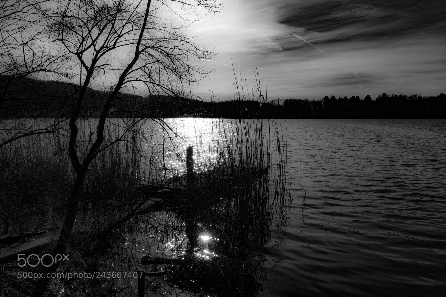 Sony a7 II sample photo. See mit steg photography