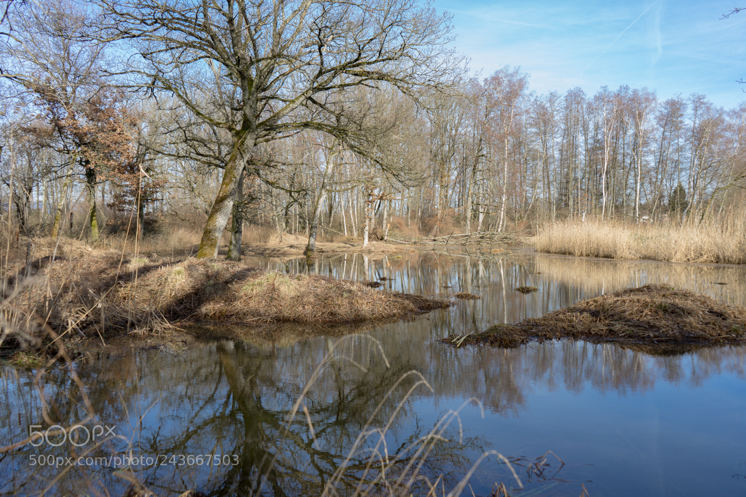 Sony a7 II sample photo. Nach dem hochwasser photography