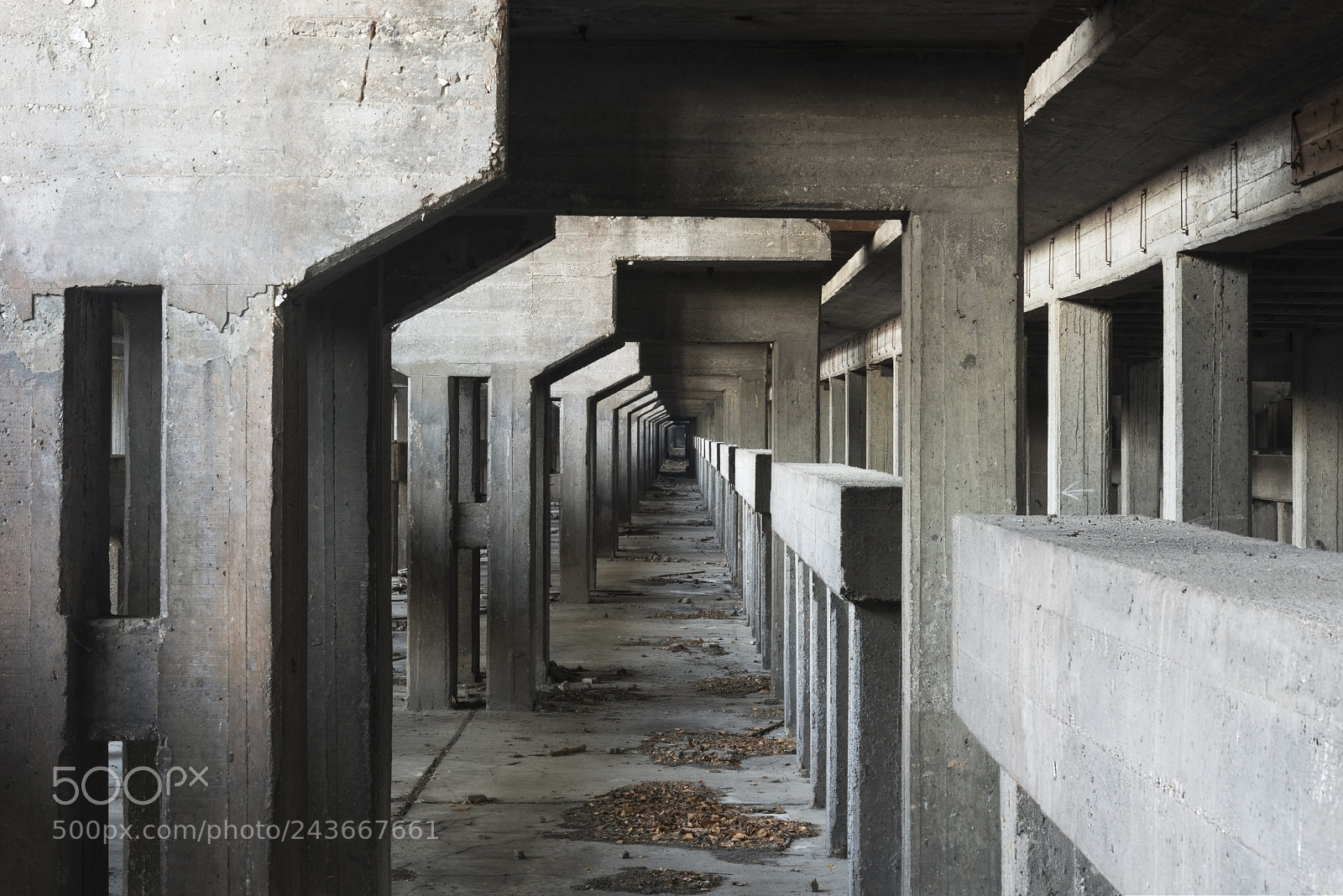Nikon D800 sample photo. Otherworld photography