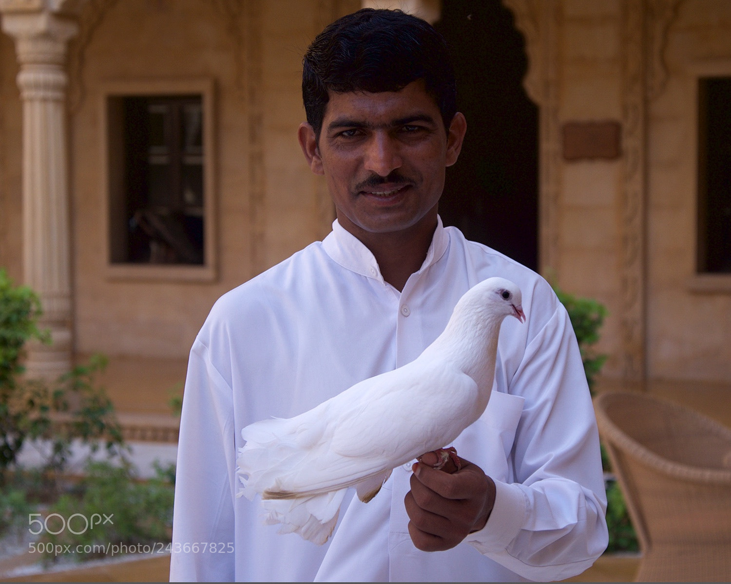Nikon D610 sample photo. Untitled photography