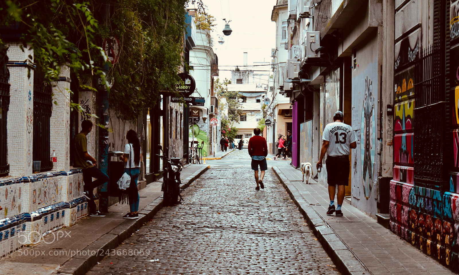 Nikon D5600 sample photo. Walking style photography