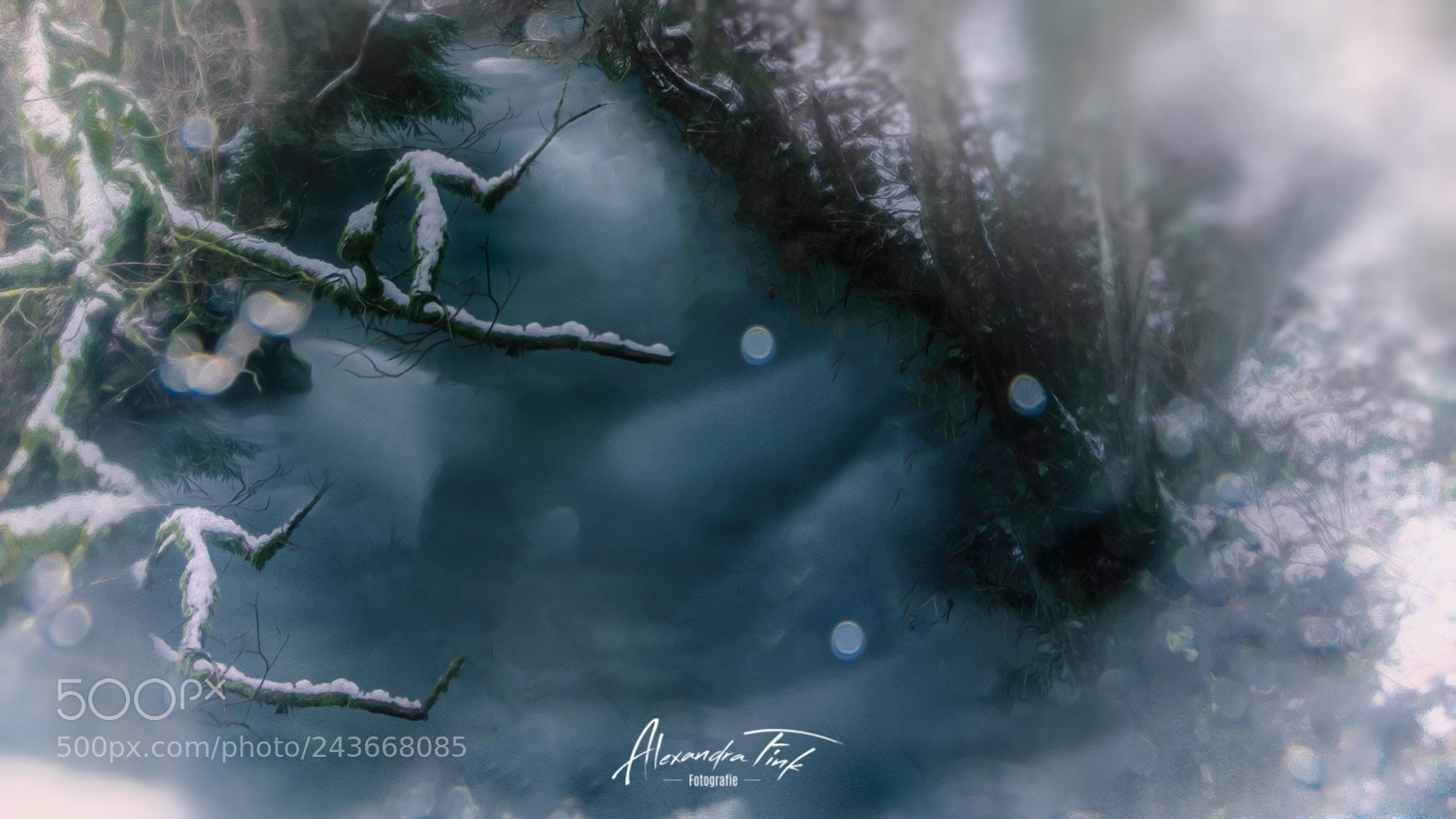 Nikon D850 sample photo. Winter with snow iv photography