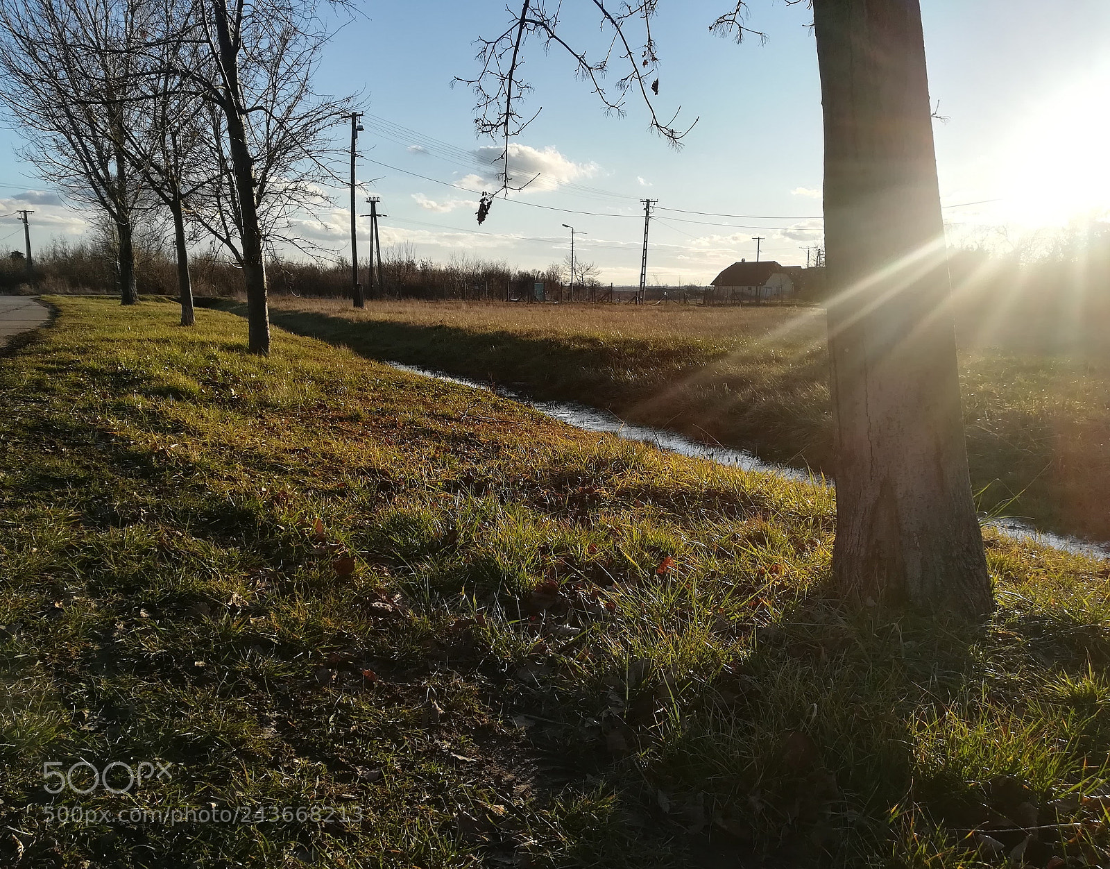 HUAWEI PRA-LX1 sample photo. Untitled photography
