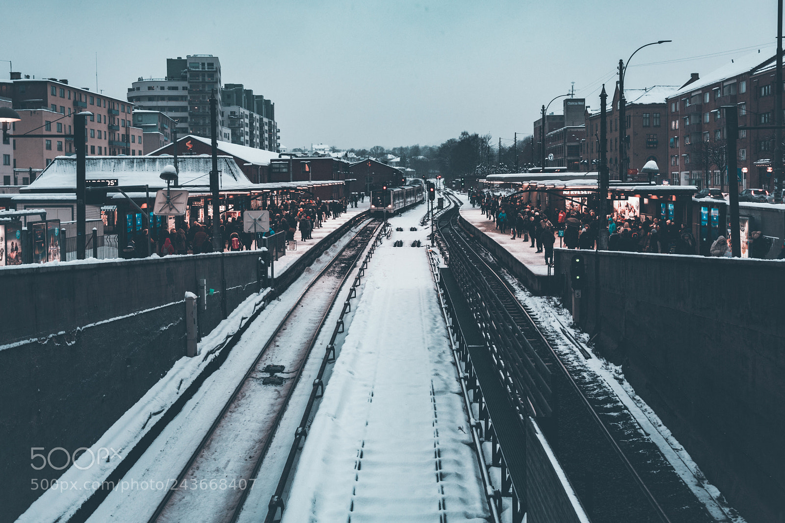 Sony a7R II sample photo. Subway rush hour photography