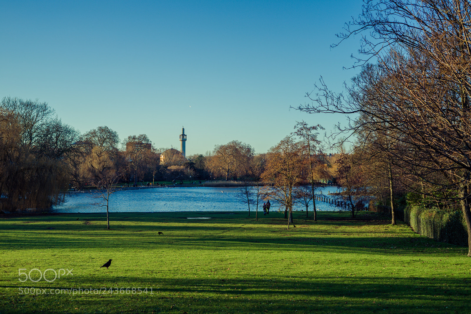 Sony a7 II sample photo. Parks in winter photography