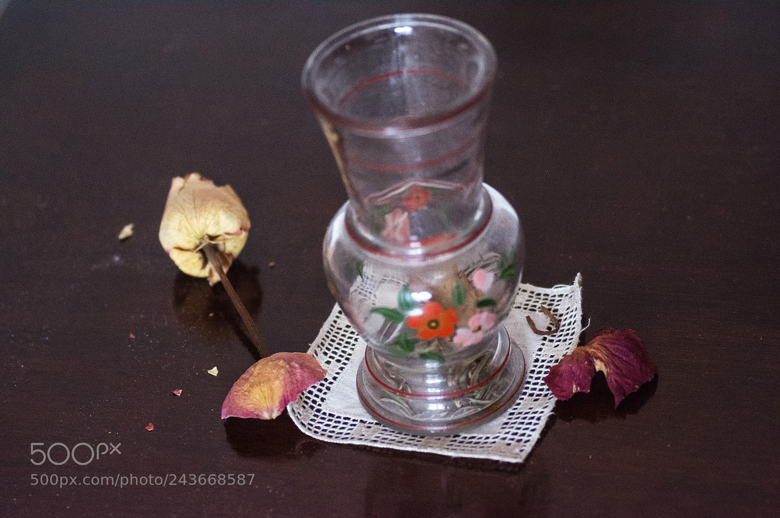 Nikon D7100 sample photo. Untitled photography