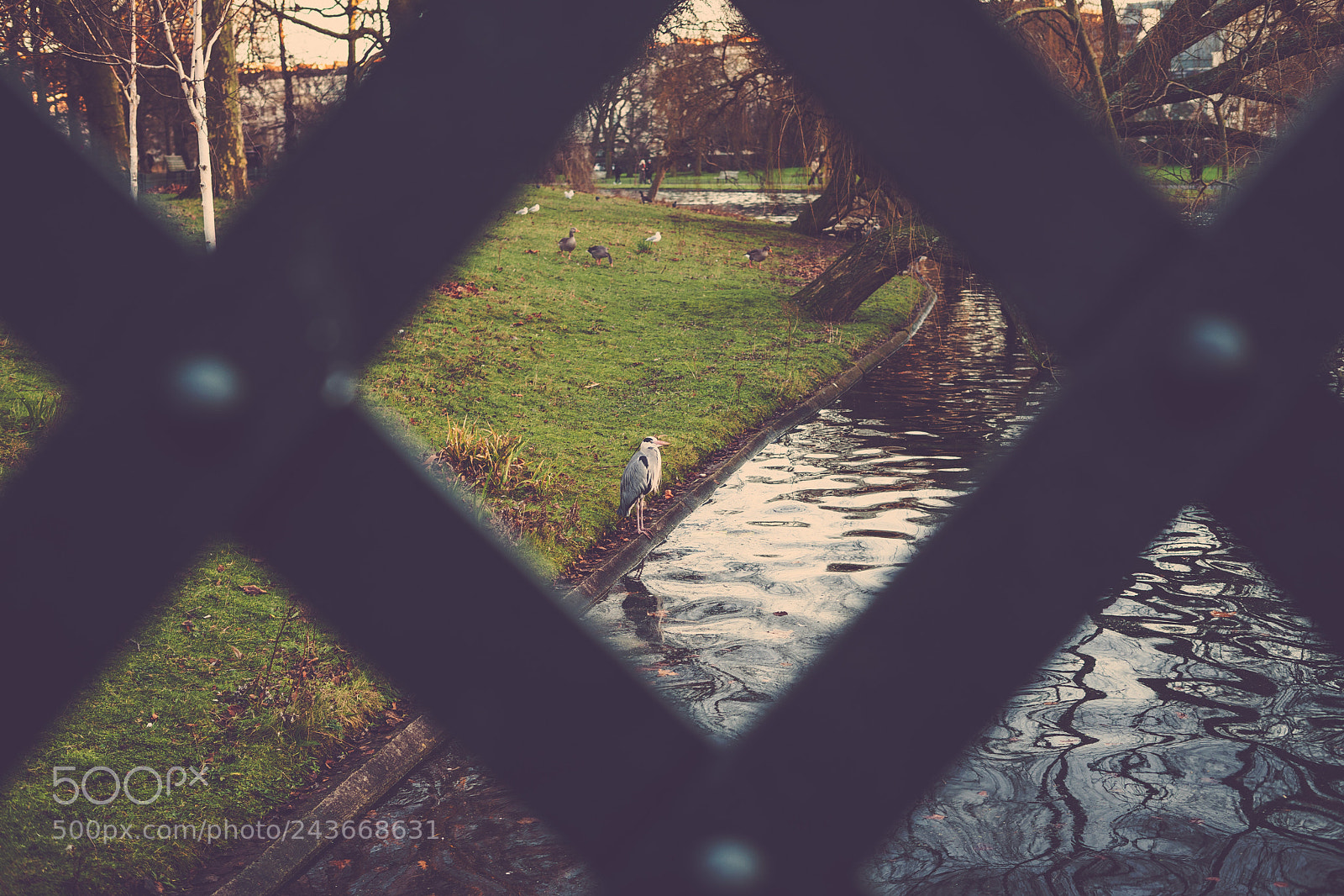 Sony a7 II sample photo. Parks in winter photography
