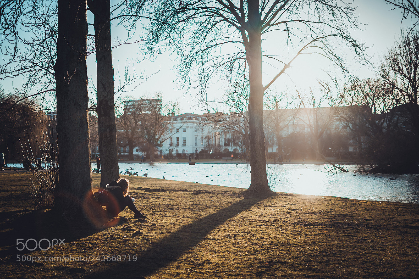 Sony a7 II sample photo. Parks in winter photography