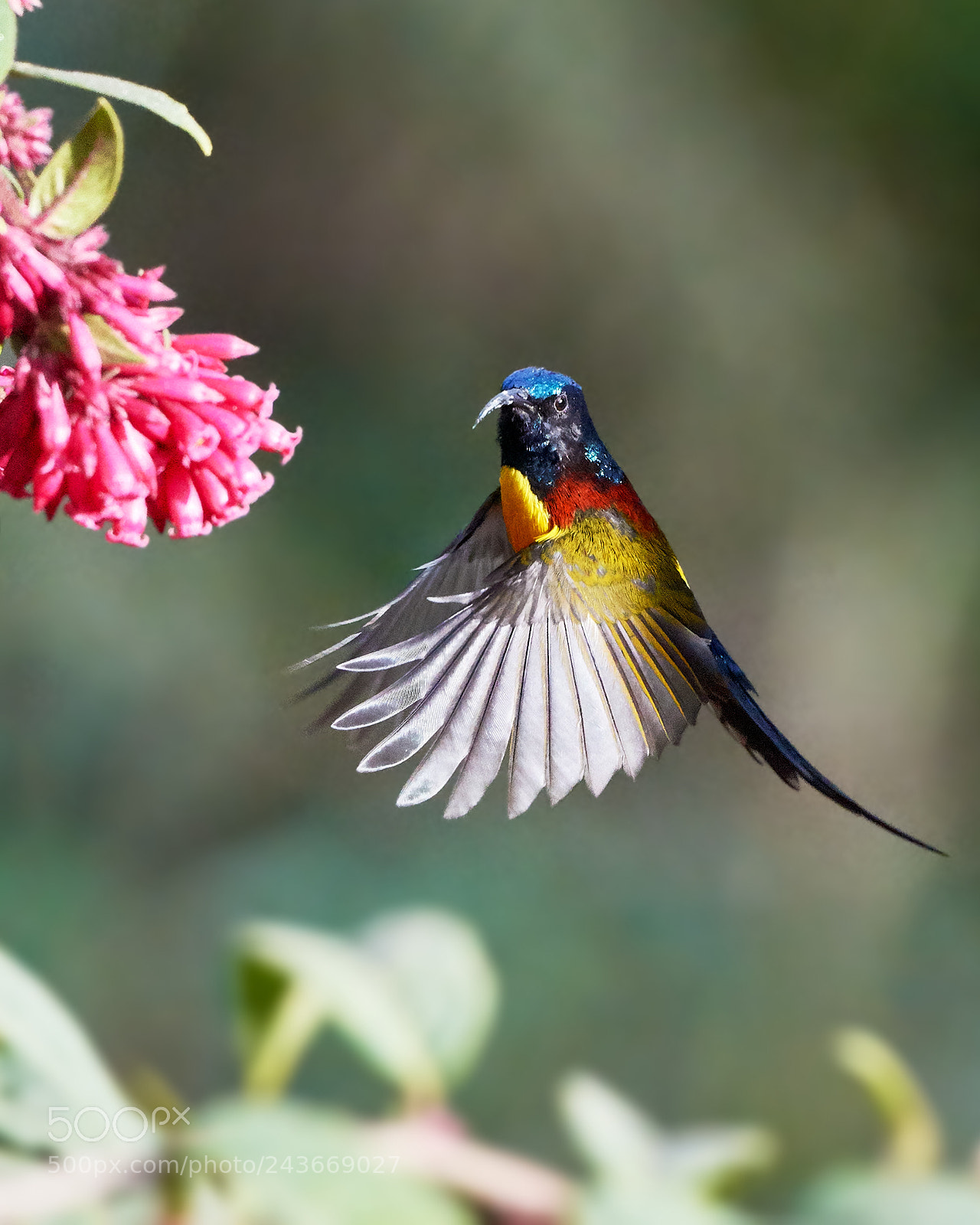Nikon D810 sample photo. Are you looking at photography
