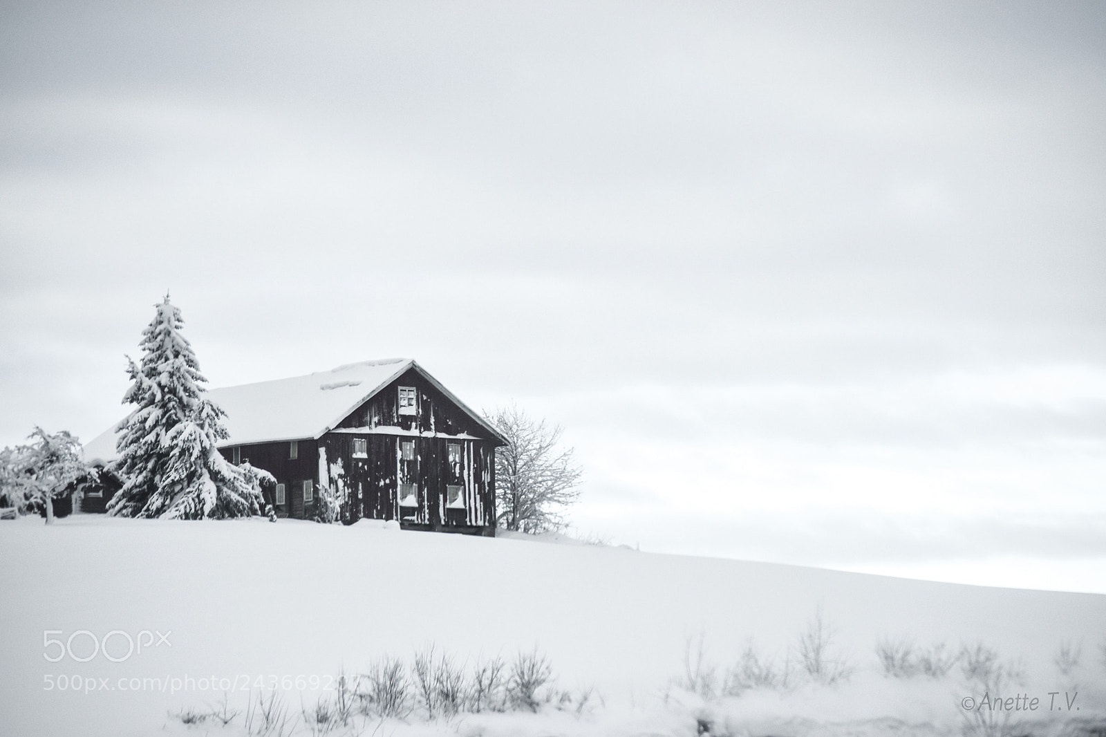 Nikon D5500 sample photo. January .. photography
