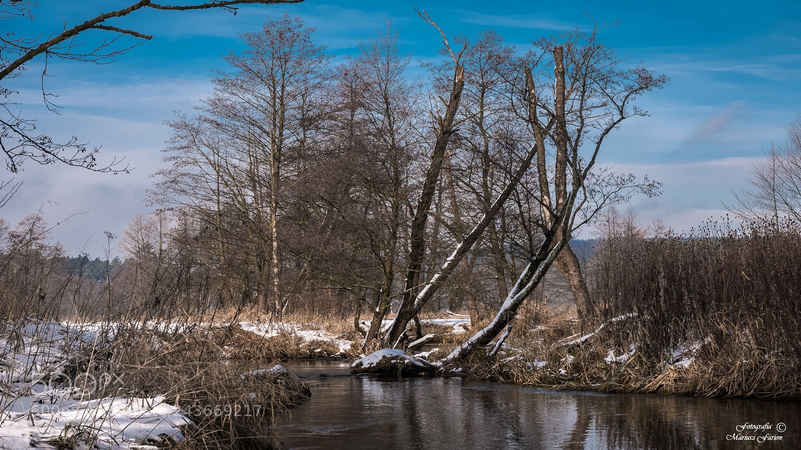Nikon D7200 sample photo. W guciowie - roztocze photography