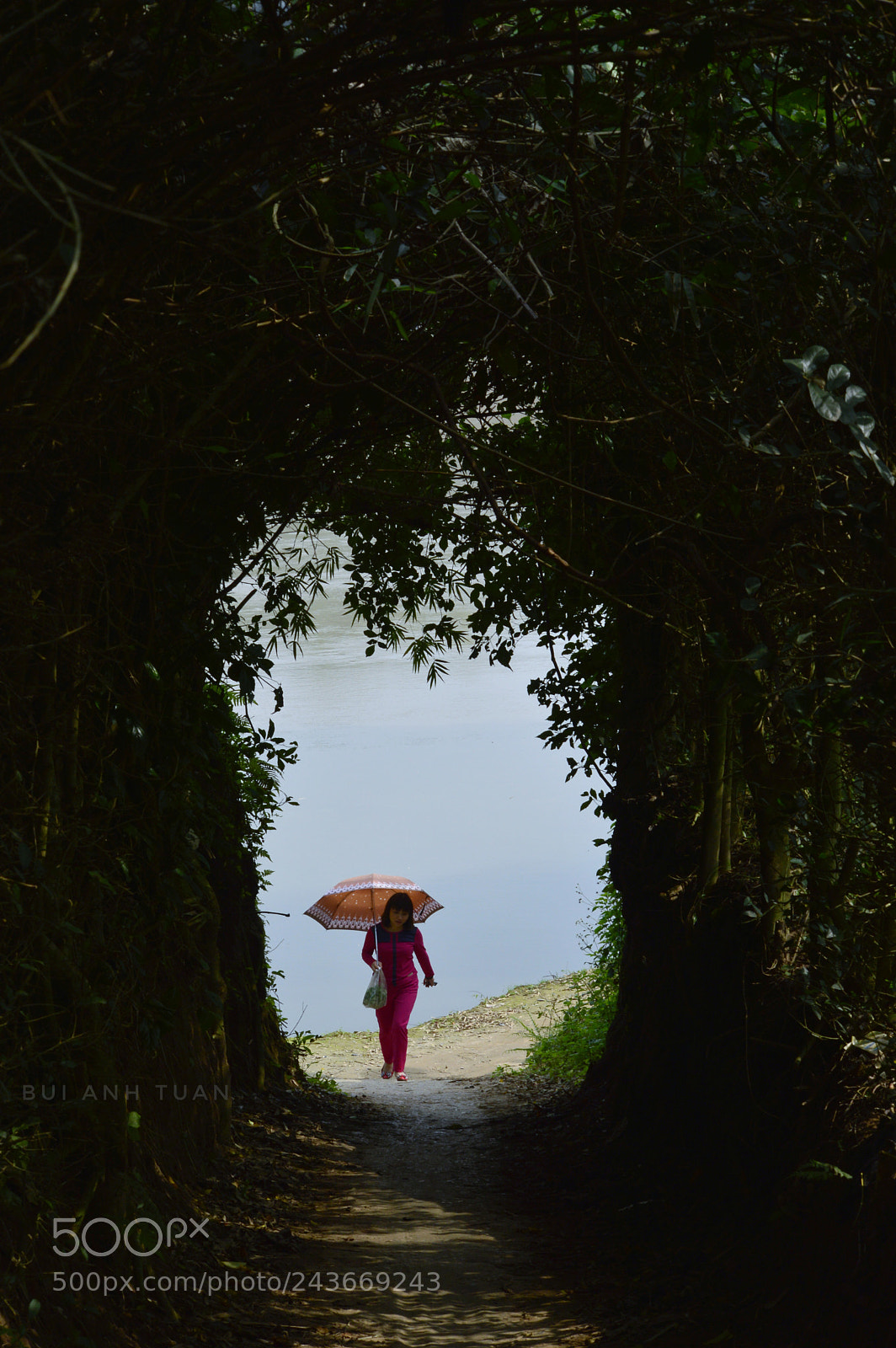 Nikon D3200 sample photo. Untitled photography