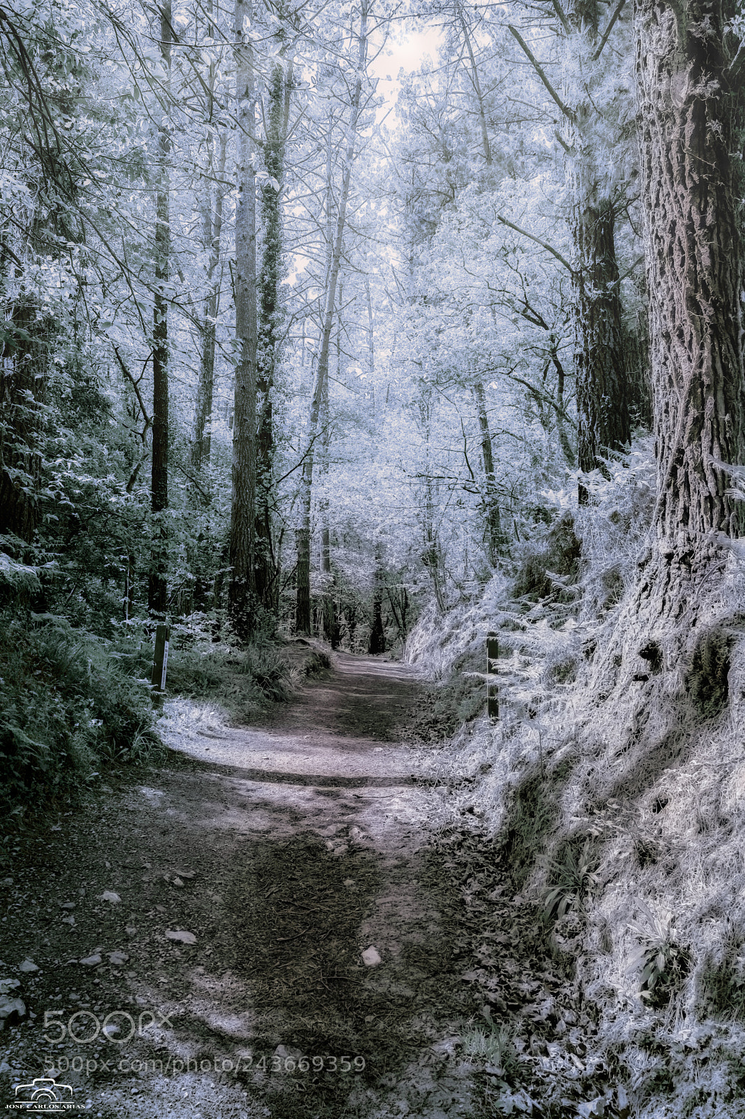 Nikon D7100 sample photo. Nevado photography